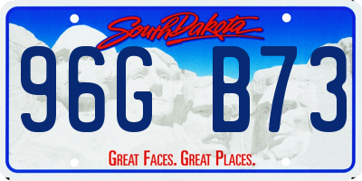 SD license plate 96GB73