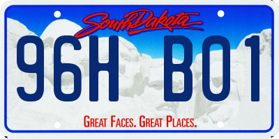 SD license plate 96HB01