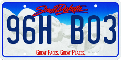 SD license plate 96HB03