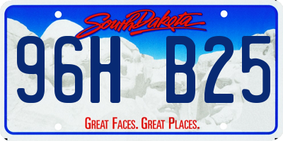 SD license plate 96HB25