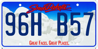 SD license plate 96HB57