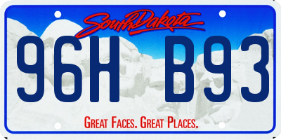 SD license plate 96HB93