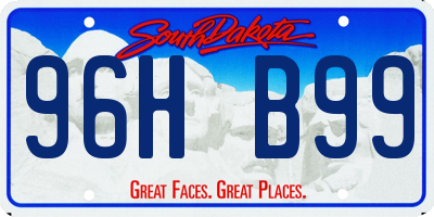 SD license plate 96HB99