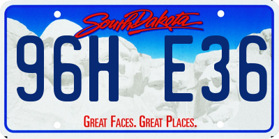 SD license plate 96HE36