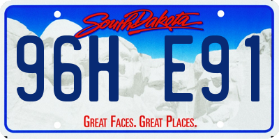 SD license plate 96HE91