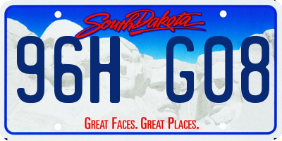 SD license plate 96HG08