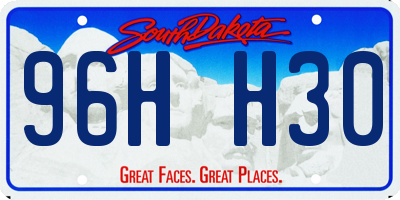 SD license plate 96HH30