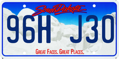 SD license plate 96HJ30