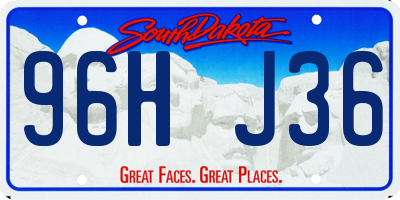SD license plate 96HJ36