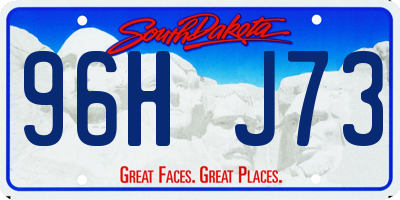 SD license plate 96HJ73