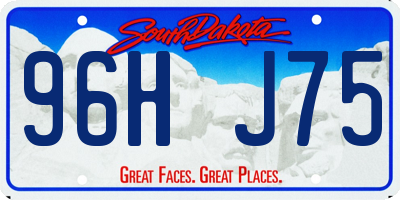 SD license plate 96HJ75