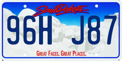 SD license plate 96HJ87