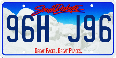 SD license plate 96HJ96