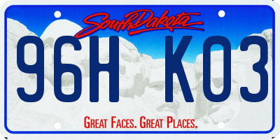 SD license plate 96HK03