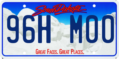 SD license plate 96HM00