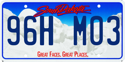 SD license plate 96HM03