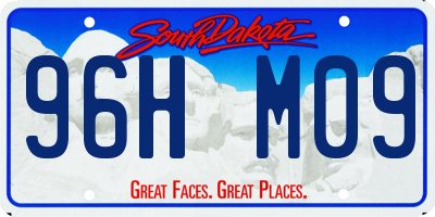 SD license plate 96HM09