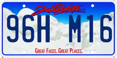 SD license plate 96HM16