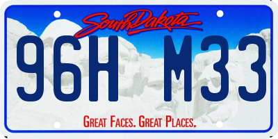 SD license plate 96HM33