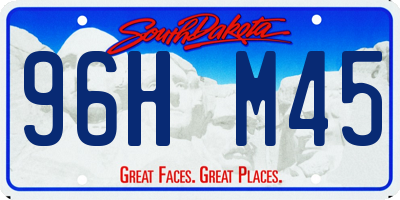 SD license plate 96HM45