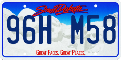 SD license plate 96HM58