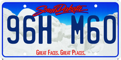 SD license plate 96HM60