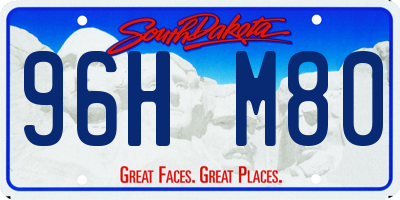 SD license plate 96HM80