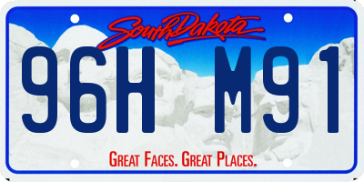 SD license plate 96HM91