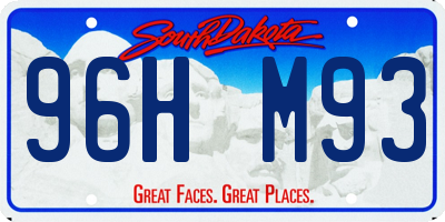 SD license plate 96HM93