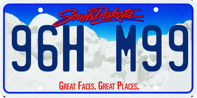 SD license plate 96HM99