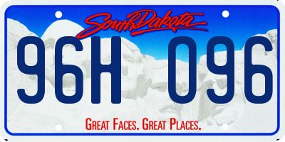 SD license plate 96HO96