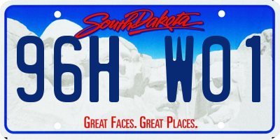 SD license plate 96HW01