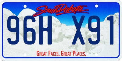 SD license plate 96HX91