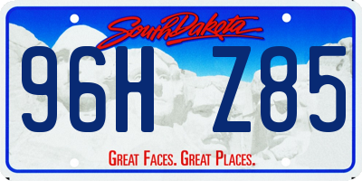 SD license plate 96HZ85