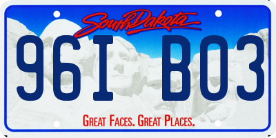 SD license plate 96IB03