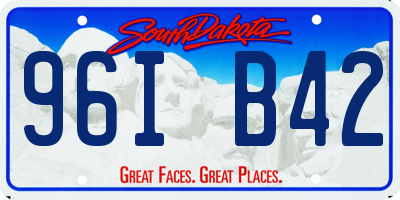 SD license plate 96IB42