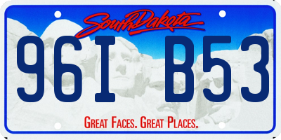 SD license plate 96IB53
