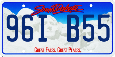 SD license plate 96IB55