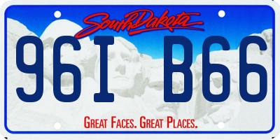 SD license plate 96IB66