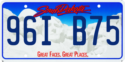 SD license plate 96IB75