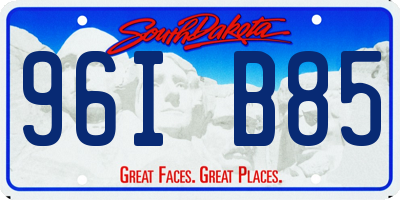 SD license plate 96IB85