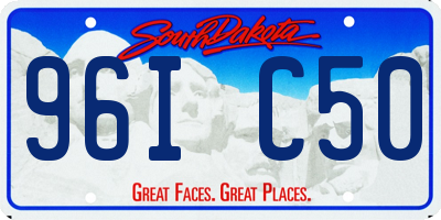 SD license plate 96IC50