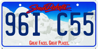 SD license plate 96IC55
