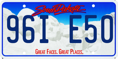 SD license plate 96IE50