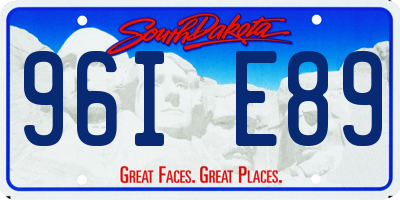 SD license plate 96IE89