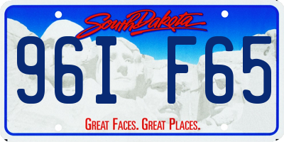 SD license plate 96IF65