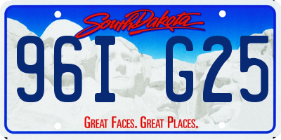 SD license plate 96IG25
