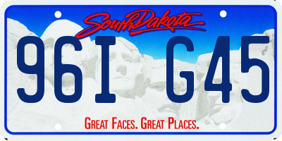 SD license plate 96IG45