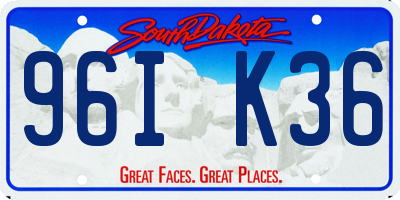 SD license plate 96IK36