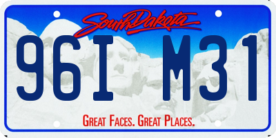 SD license plate 96IM31